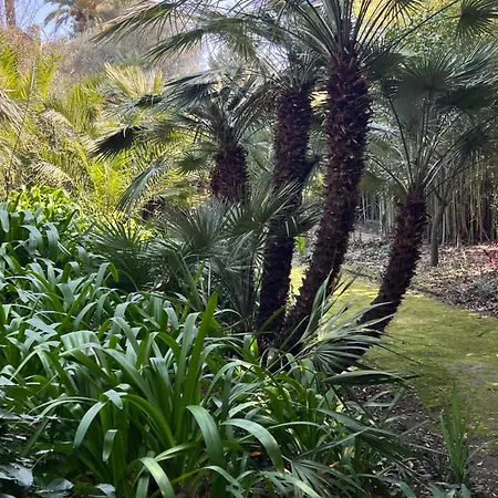 Ombrage 44m2 Riviera Palace Belle-epoque, Restomod Et Literie Prestige *