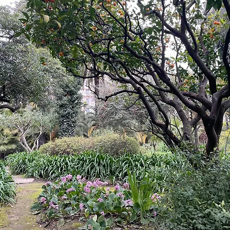 Ombrage 44m2 Riviera Palace Belle-epoque, Restomod Et Literie Prestige Апартаменты