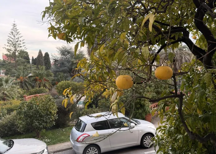 شقة Ombrage 44m2 Riviera Palace Belle-epoque, Restomod Et Literie Prestige