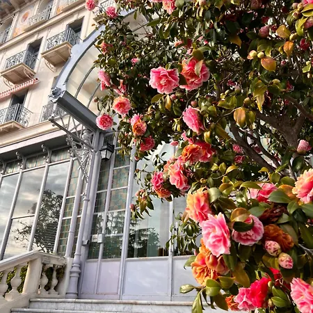 Ombragé 44m2 Riviera Palace Belle-epoque, Restomod Et Literie Prestige *