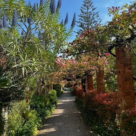 Ombragé 44m2 Riviera Palace Belle-epoque, Restomod Et Literie Prestige * Menton