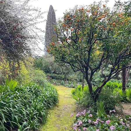 Ombrage 44m2 Riviera Palace Belle-epoque, Restomod Et Literie Prestige *