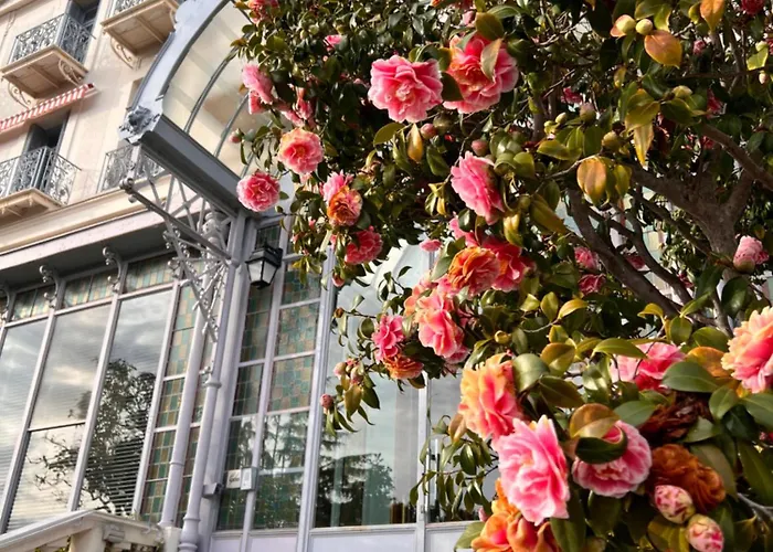 Ombragé 44m2 Riviera Palace Belle-epoque, Restomod Et Literie Prestige *