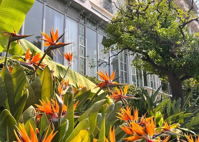 Lägenhet Ombrage 44m2 Riviera Palace Belle-epoque, Restomod Et Literie Prestige